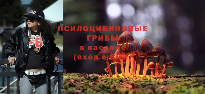 Псилоцибиновые грибы MAGIC MUSHROOMS  Жирновск 